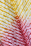 Saffron Sunrise Shibori Kurta