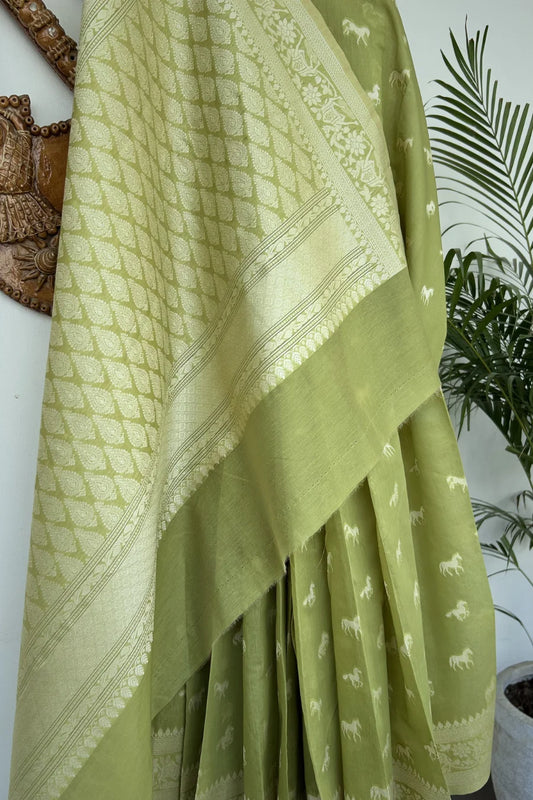 Sage Gallop Banarasi Cotton Saree