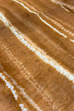 Dune & Bark Pure Organza Shibori Saree