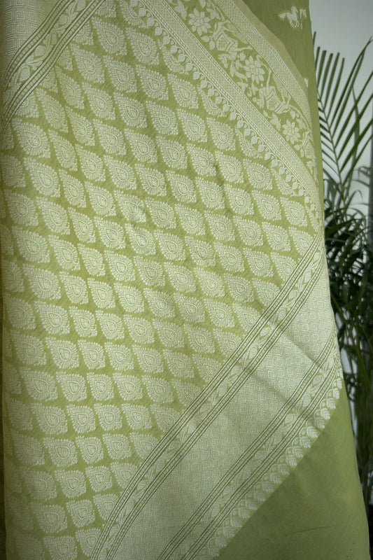 Sage Gallop Banarasi Cotton Saree