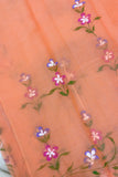 Priyangu Peach Hand Painted Pure Cotton Kota Doria Saree
