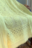 Lime Zest Chikankari Mukaish Suit